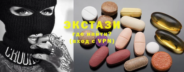 сатива Бородино
