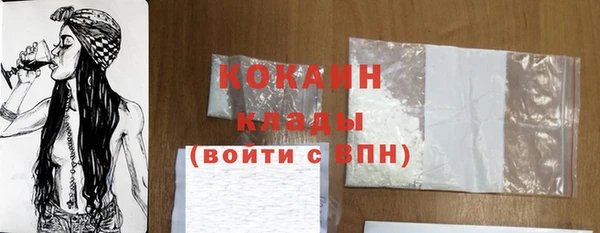 сатива Бородино