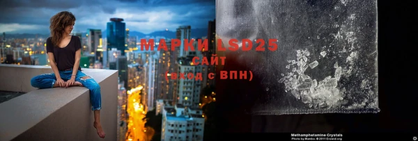 сатива Бородино