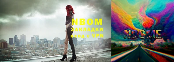 сатива Бородино