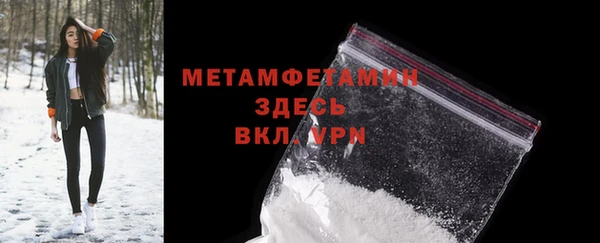 сатива Бородино