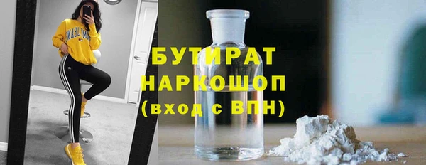 сатива Бородино