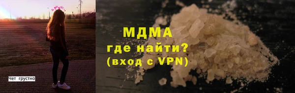 сатива Бородино