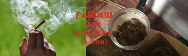 сатива Бородино