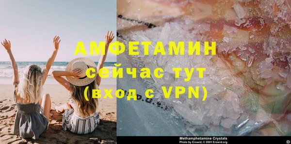 сатива Бородино