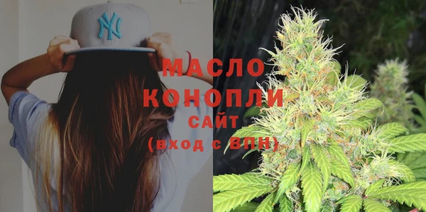 сатива Бородино