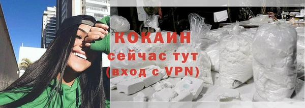 сатива Бородино