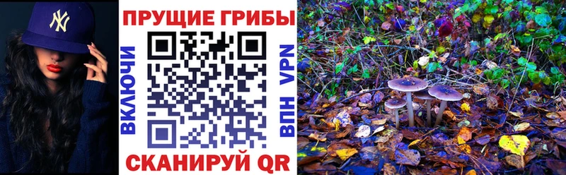 гидра маркетплейс  Десногорск  Галлюциногенные грибы MAGIC MUSHROOMS 